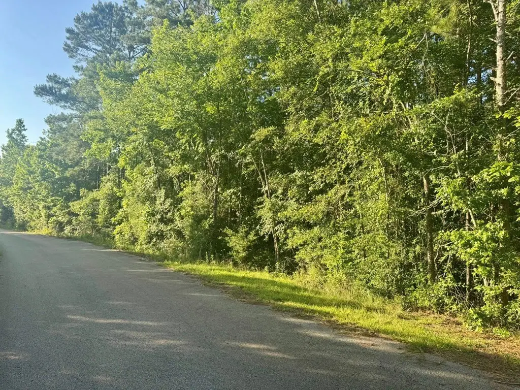 Picture 21