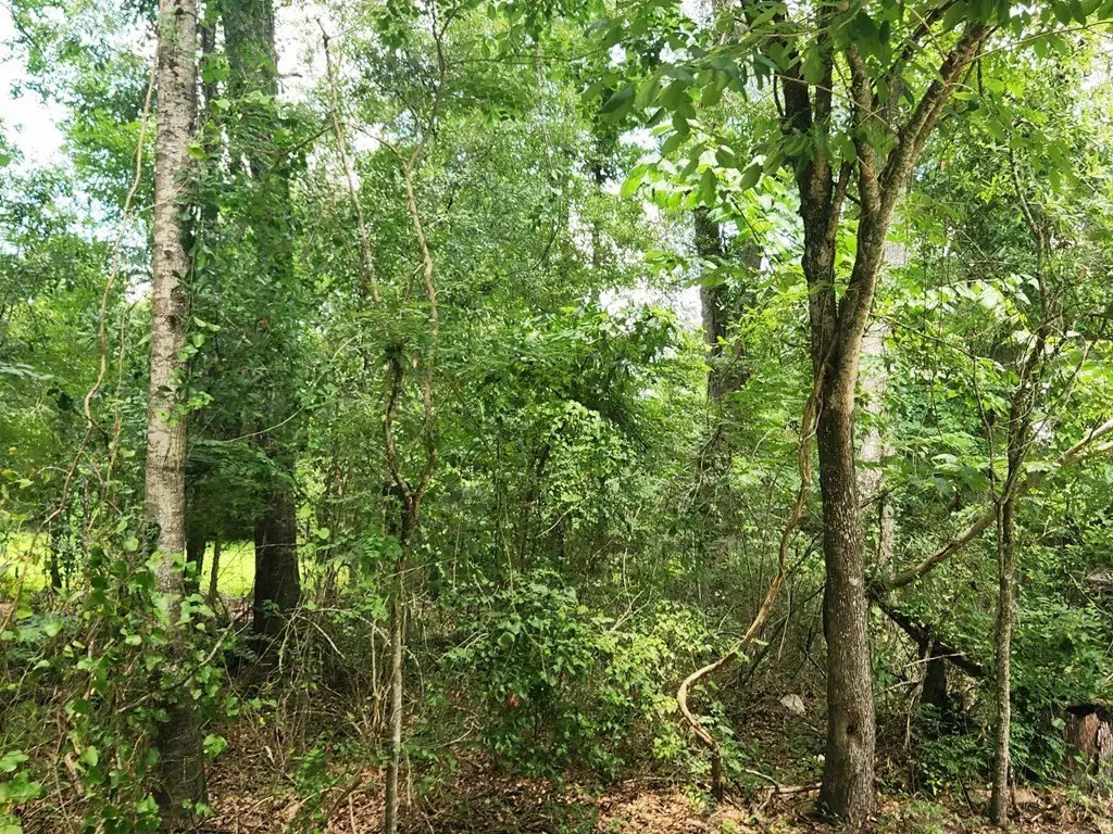 Picture 16
