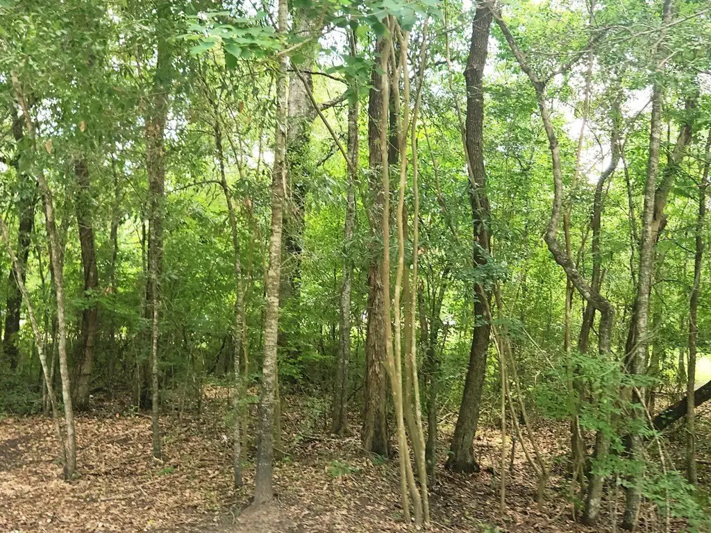 Picture 17