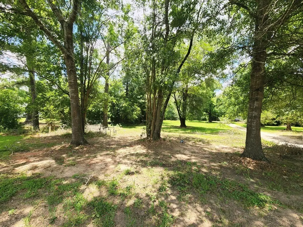 Picture 18