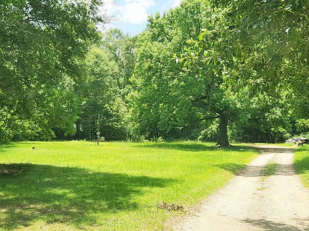 Picture 8