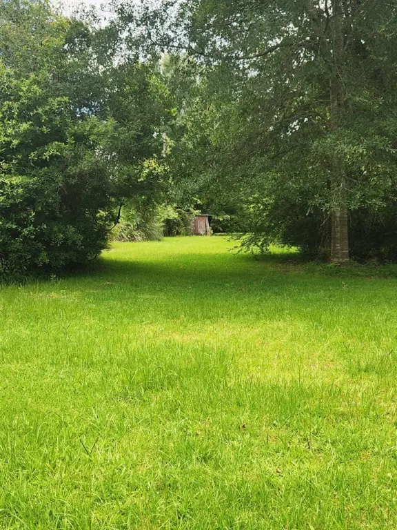Picture 5