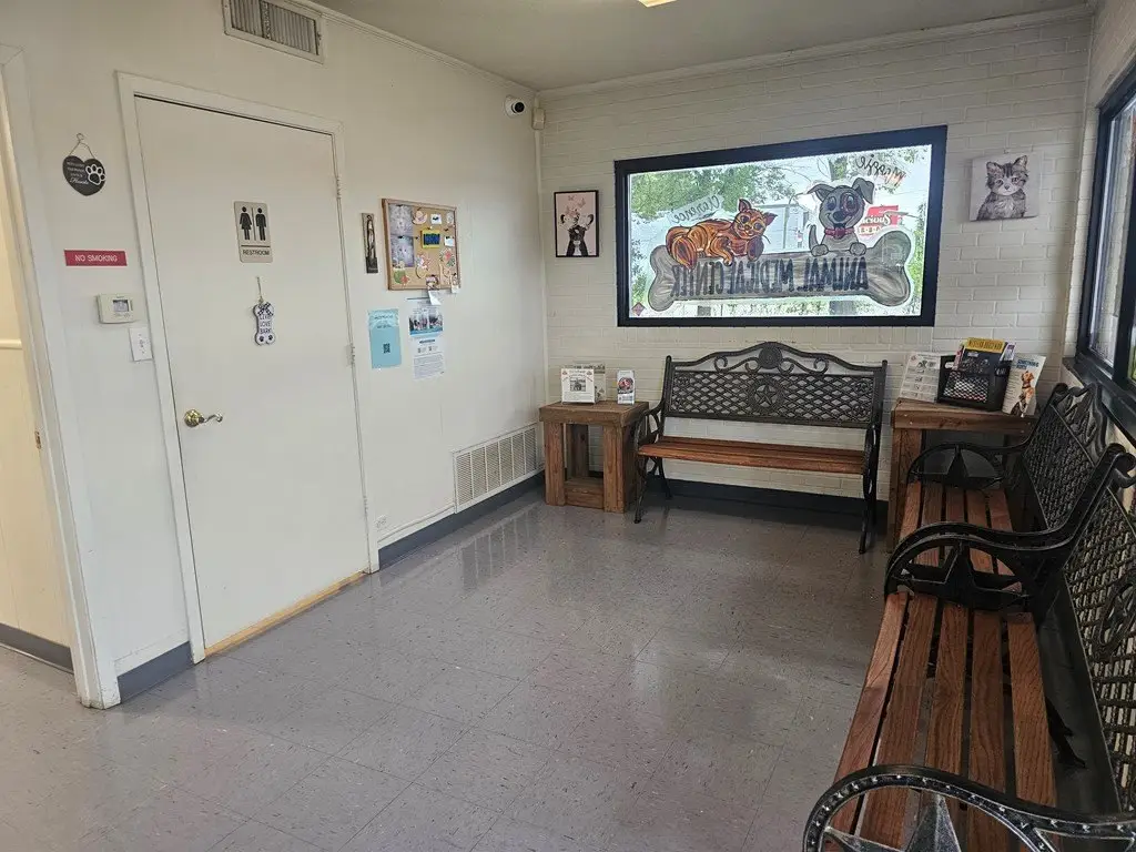 Picture 6