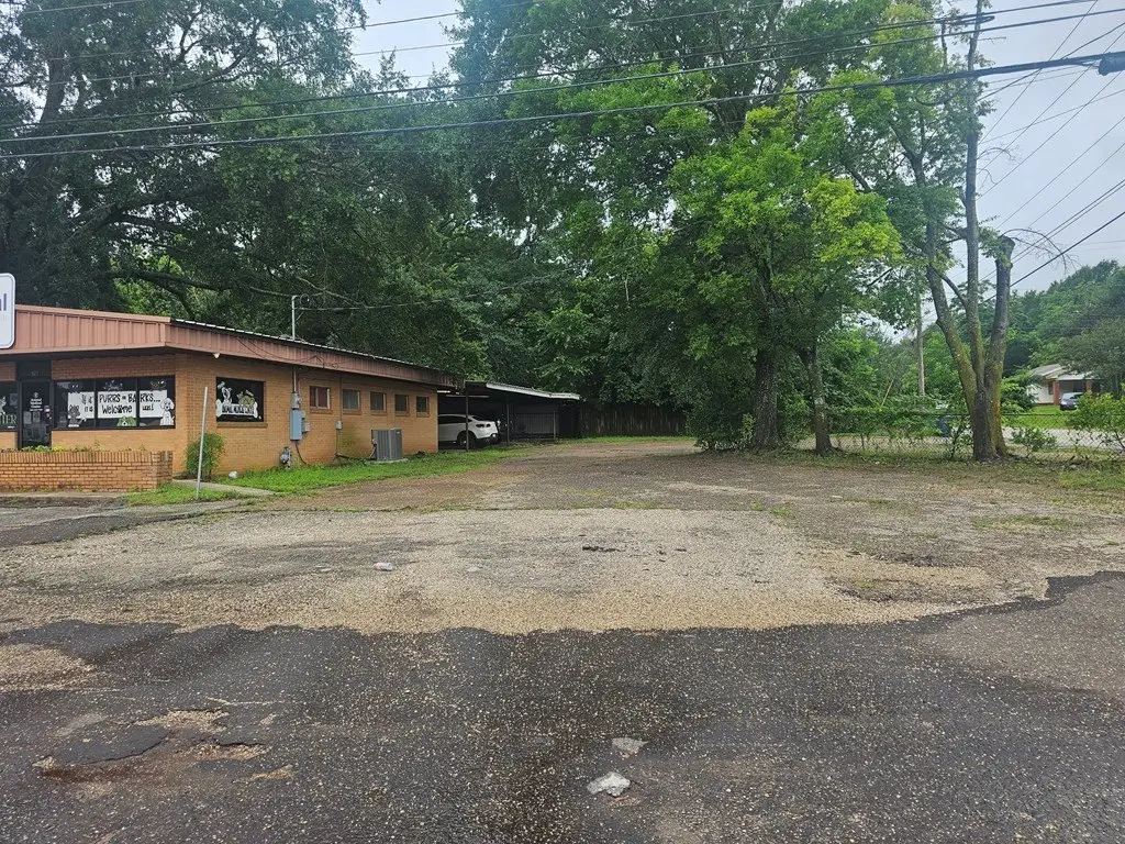 Picture 23