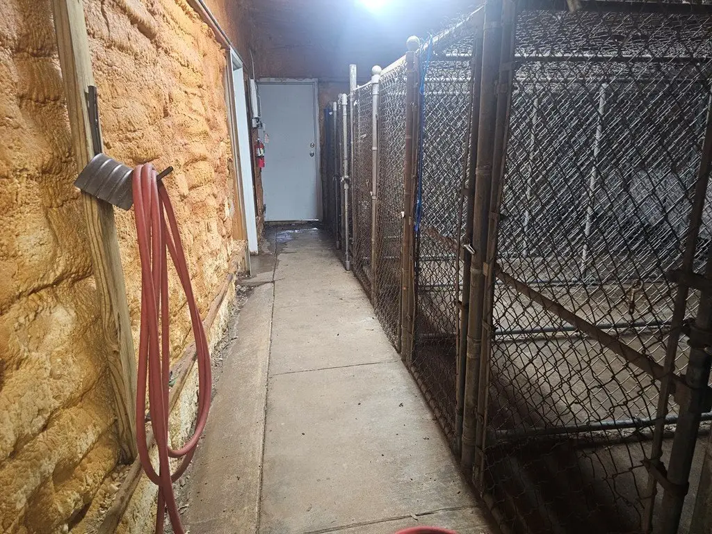 Picture 20