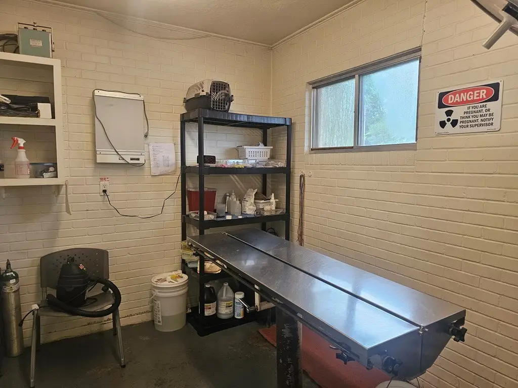 Picture 16