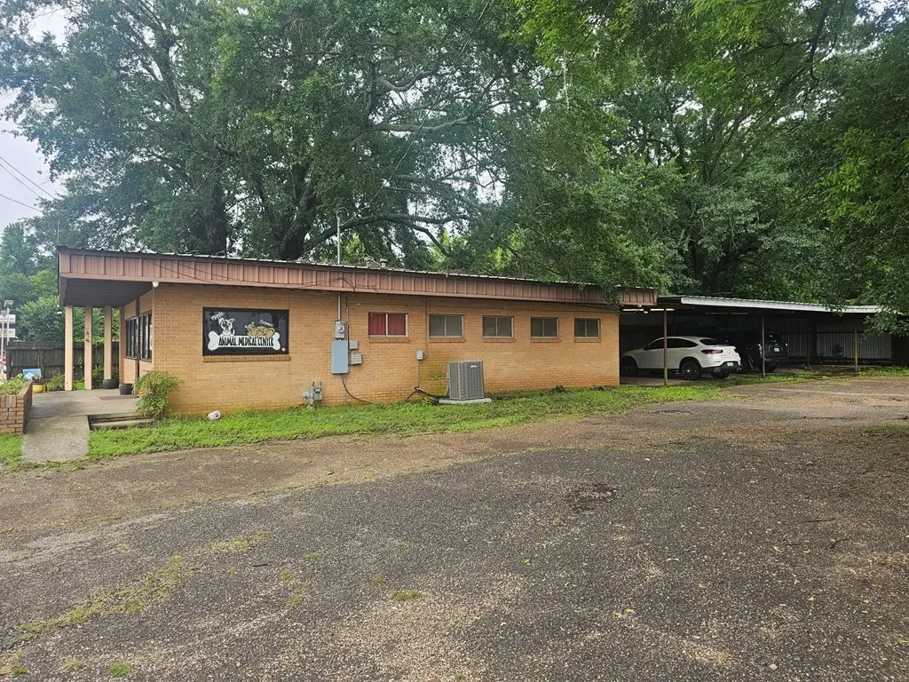 Picture 25