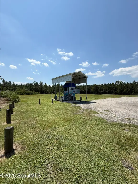 Picture 19
