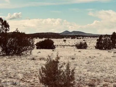 Hunting Land with Dirt Roads