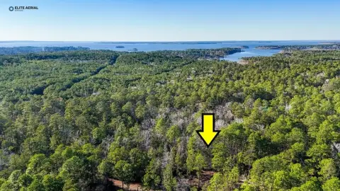 Rayburn Resort Land Opportunity