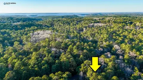 Rayburn Country Land Near Lake