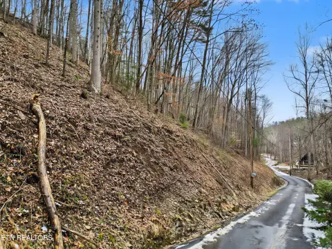 Sevierville Land in Shagbark Community