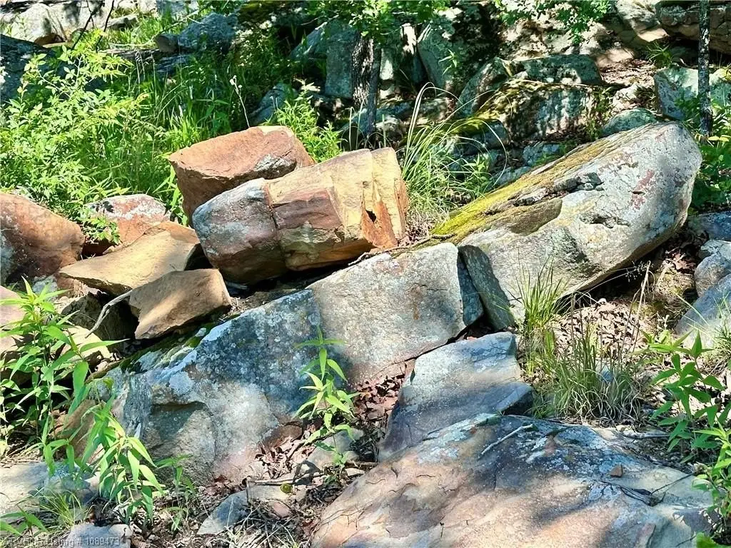 Picture 16