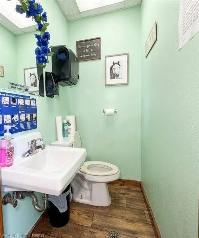 Picture 5