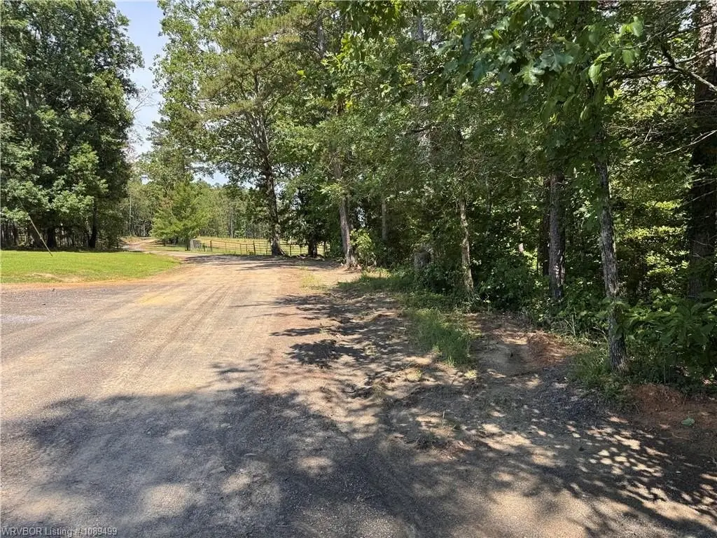 Picture 19