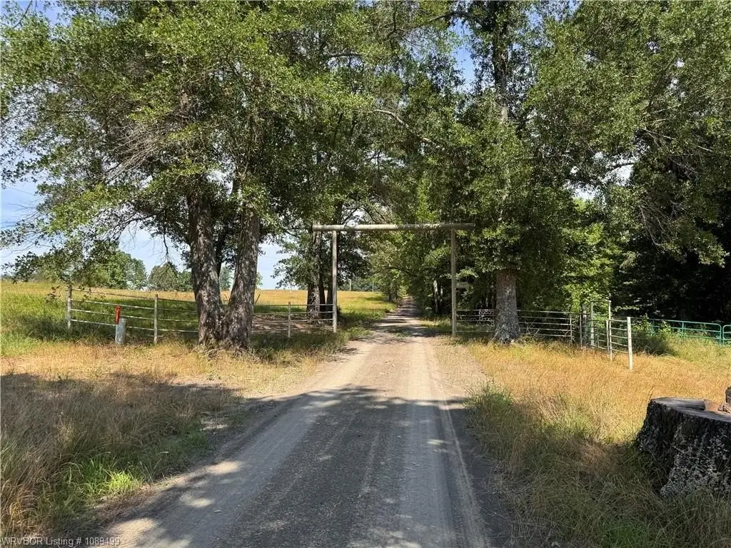 Picture 20