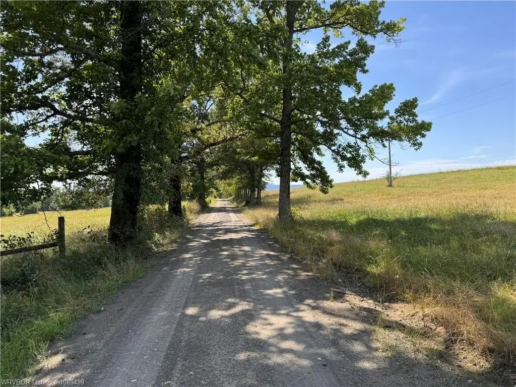 Picture 21