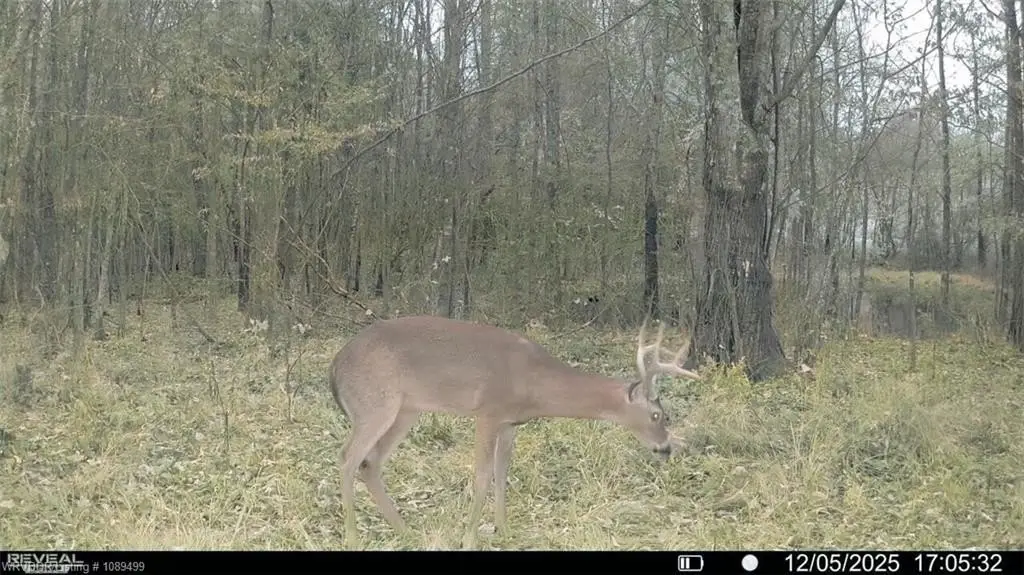 Picture 17