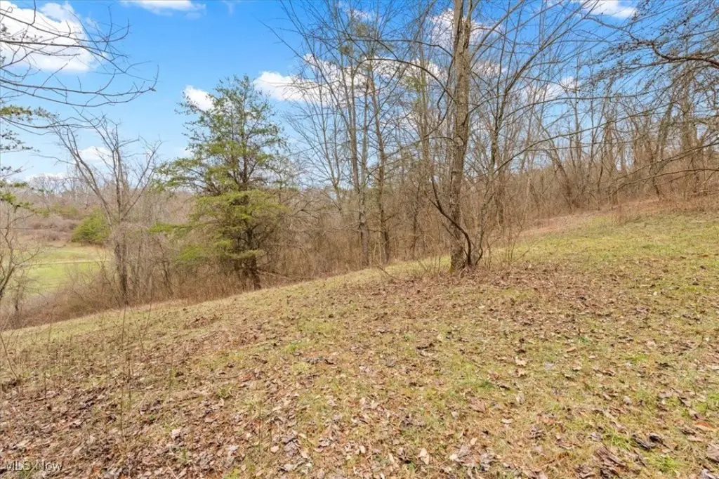 Picture 29