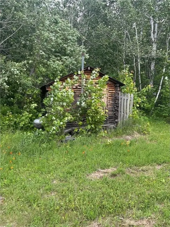 Picture 5