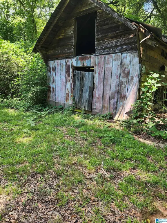 Picture 5