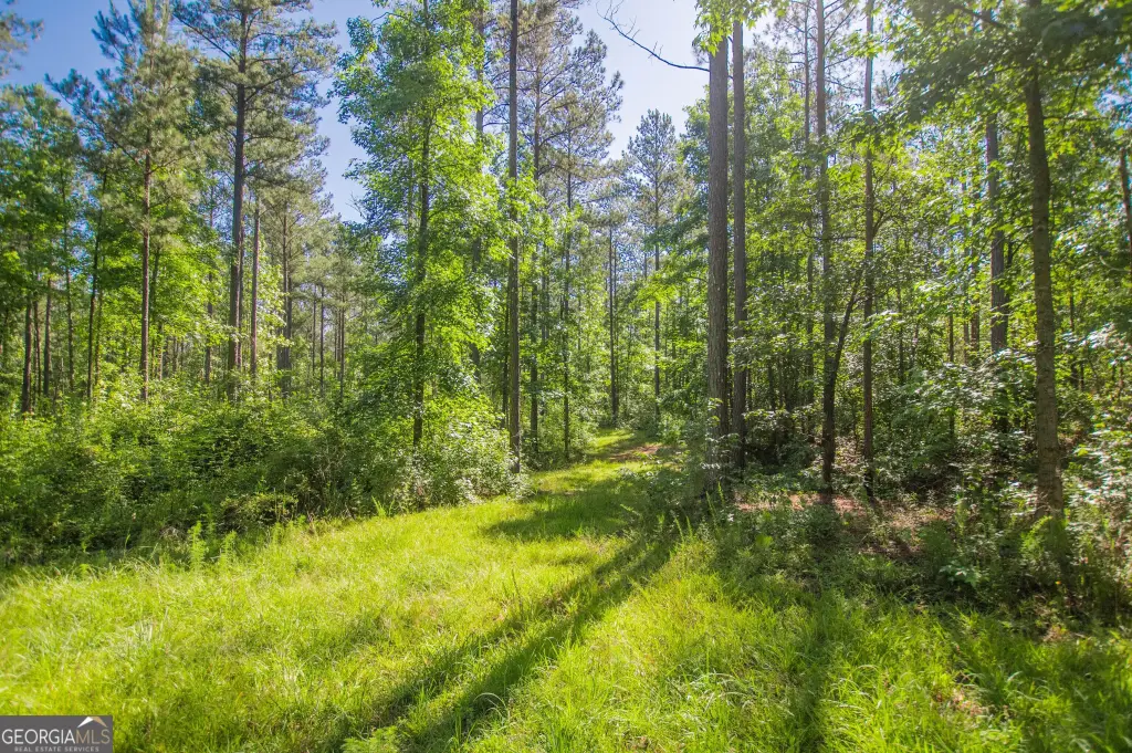 Picture 3