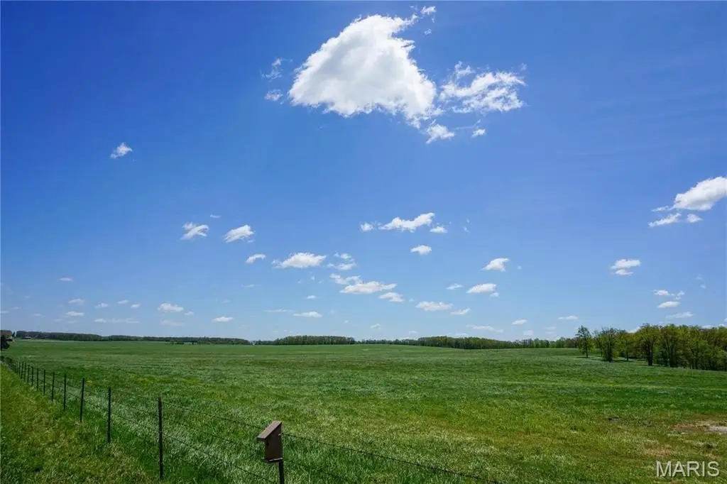 Picture 17