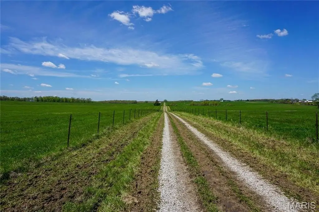 Picture 20