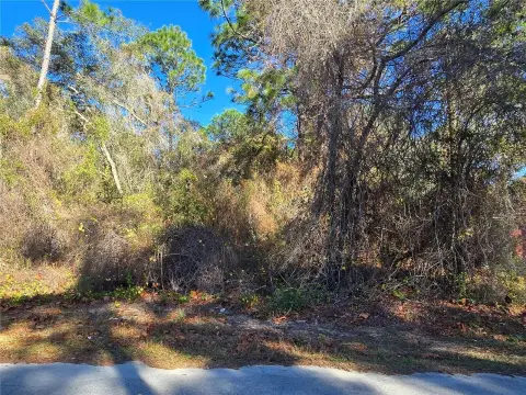Inverness Homesite Opportunity Awaits