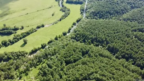 Lamar, AR Creekfront Acreage