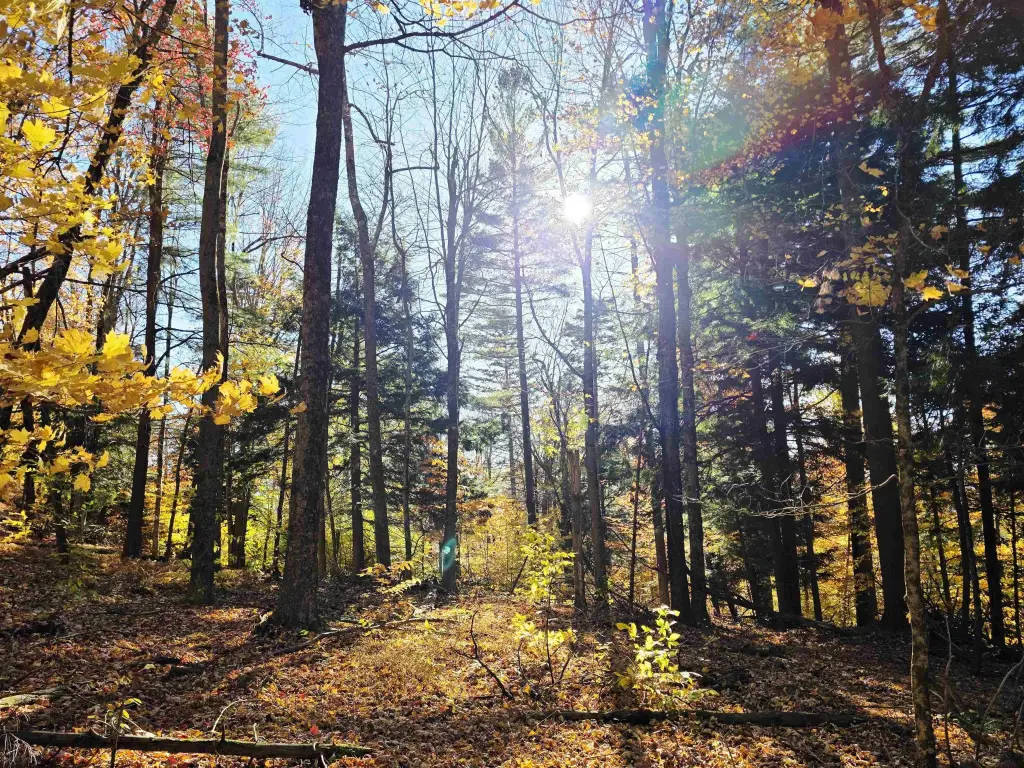 Picture 21