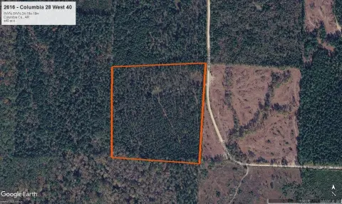 Pine Plantation Agricultural Land