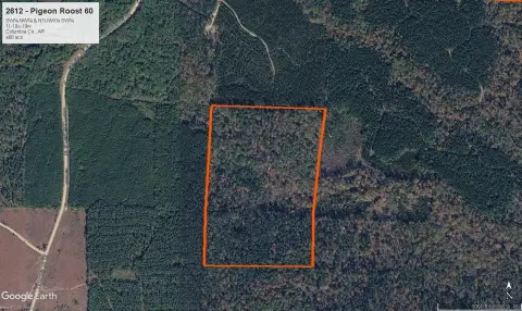 Pine and Hardwood Recreation Land