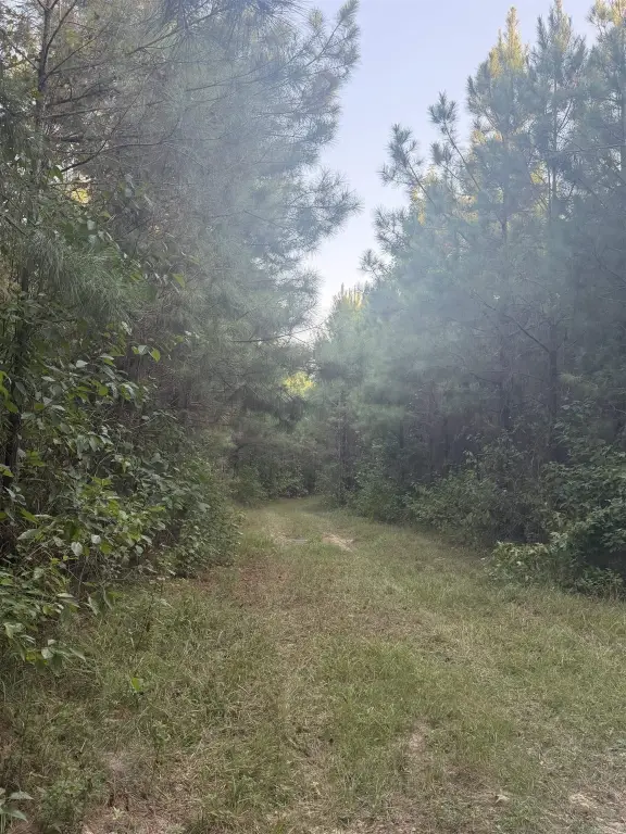 Picture 4