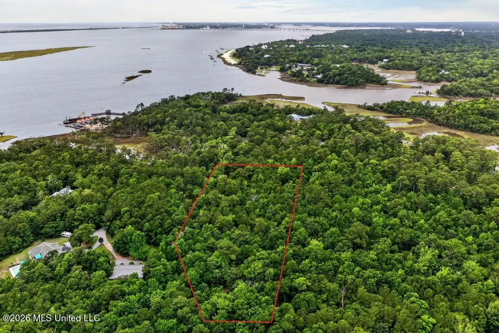 Picture 35