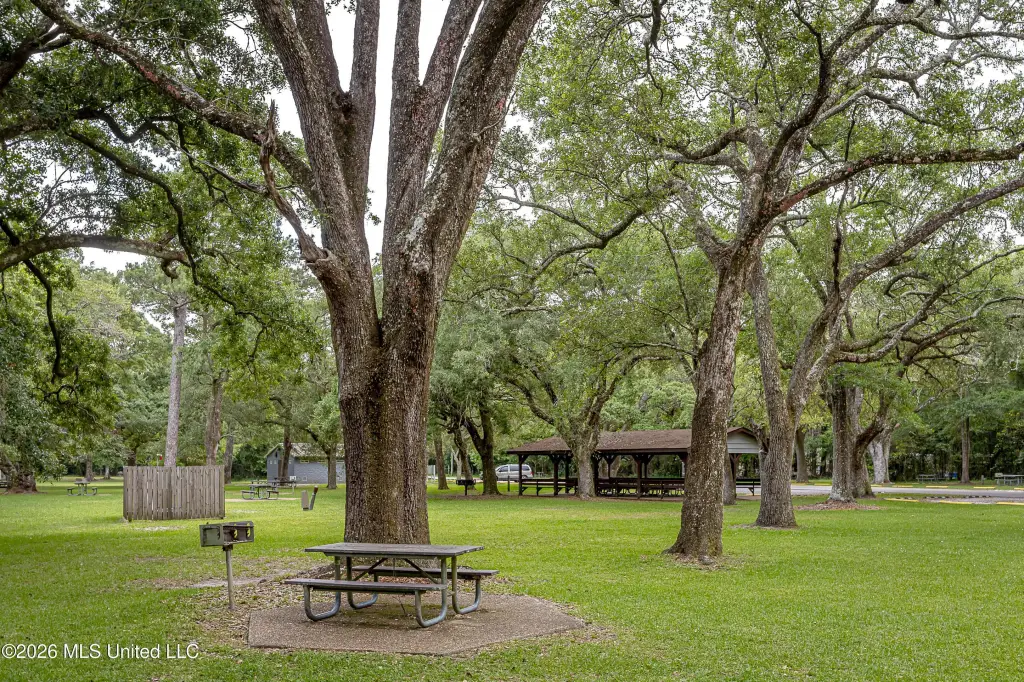 Picture 24