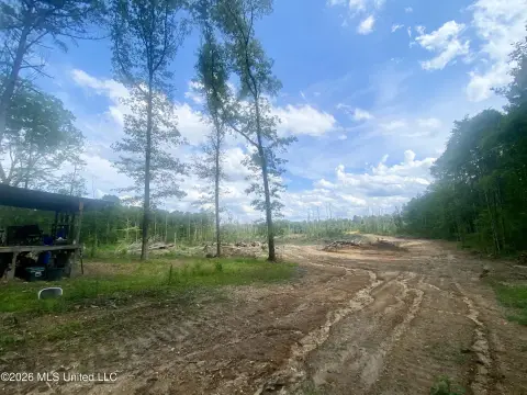 90 Acres Recreational Land, Wesson