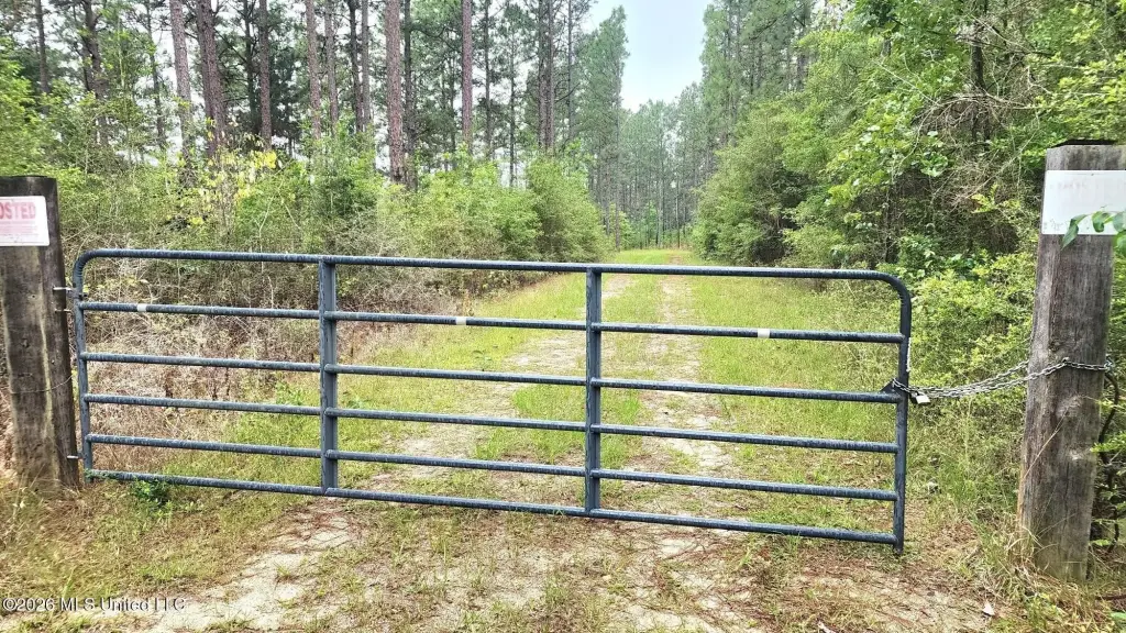 Picture 2