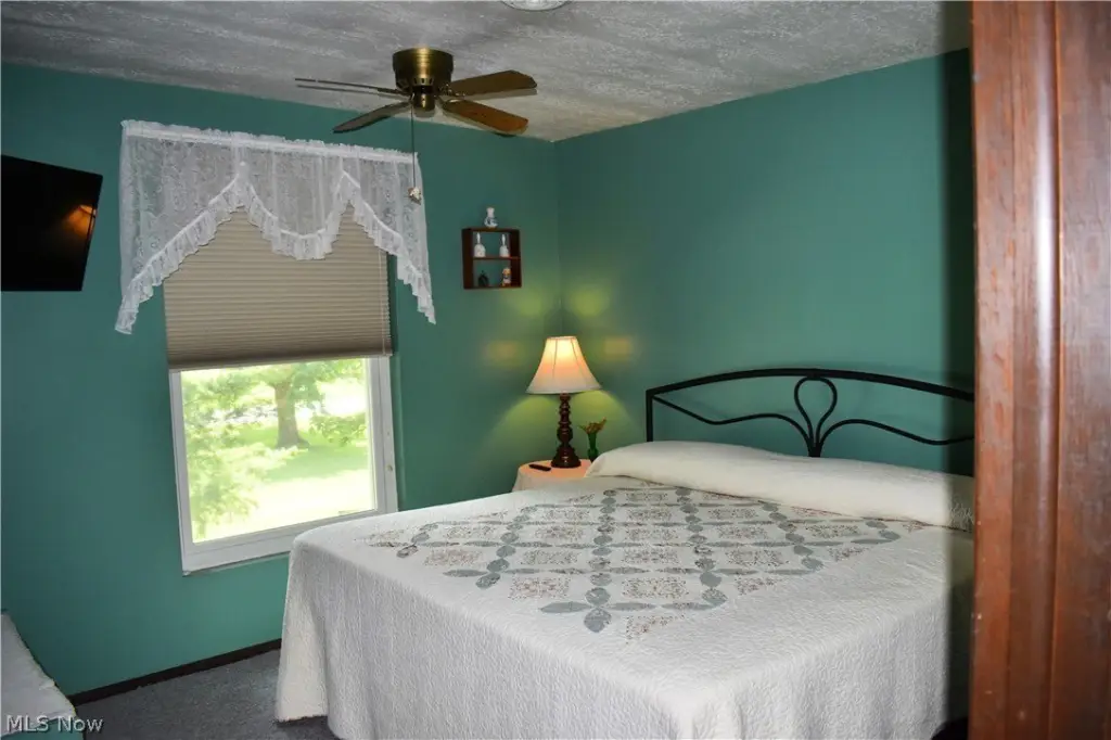 Picture 15