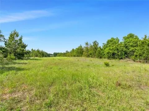 160 Acres of Hunting Land