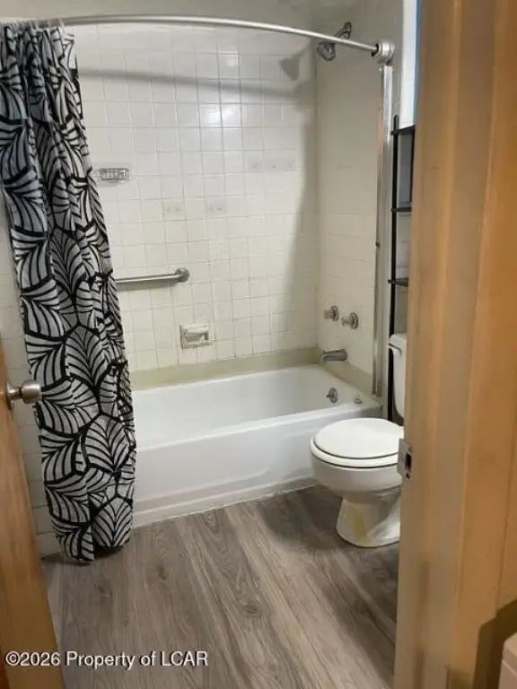Picture 17