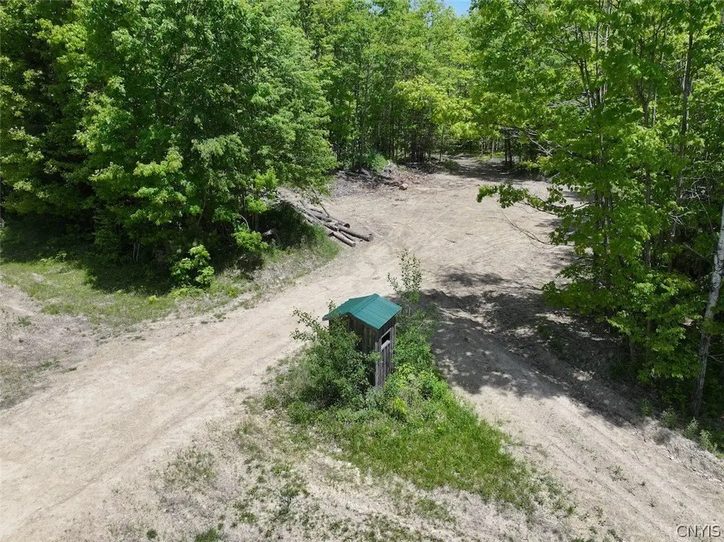 Picture 17