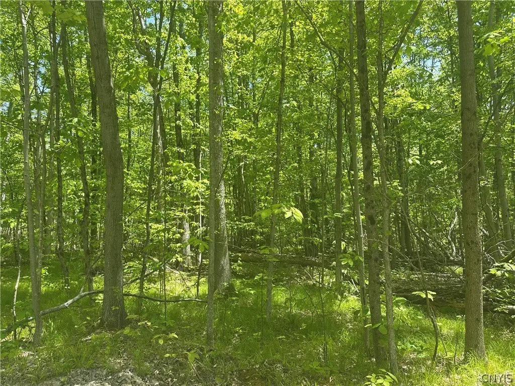 Picture 16