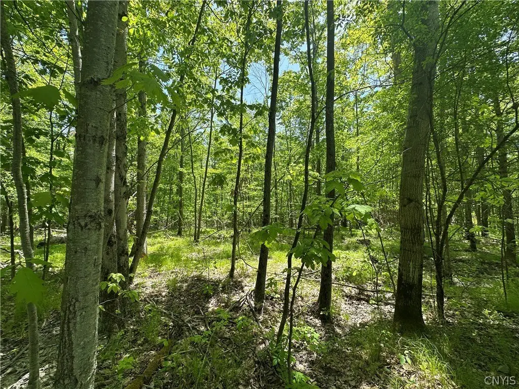 Picture 14