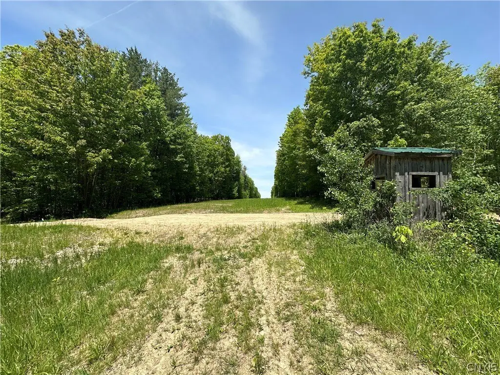 Picture 20