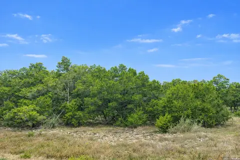 Vintage Oaks Homesite Opportunity