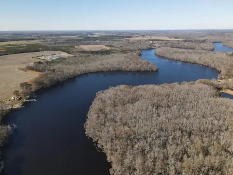 238 Acres Hunting/Waterfront Paradise