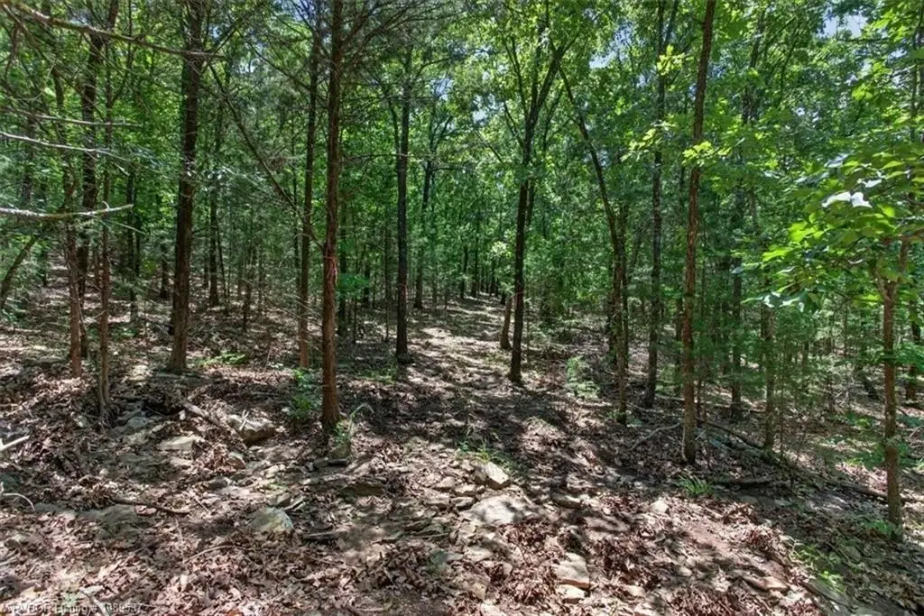 Picture 11