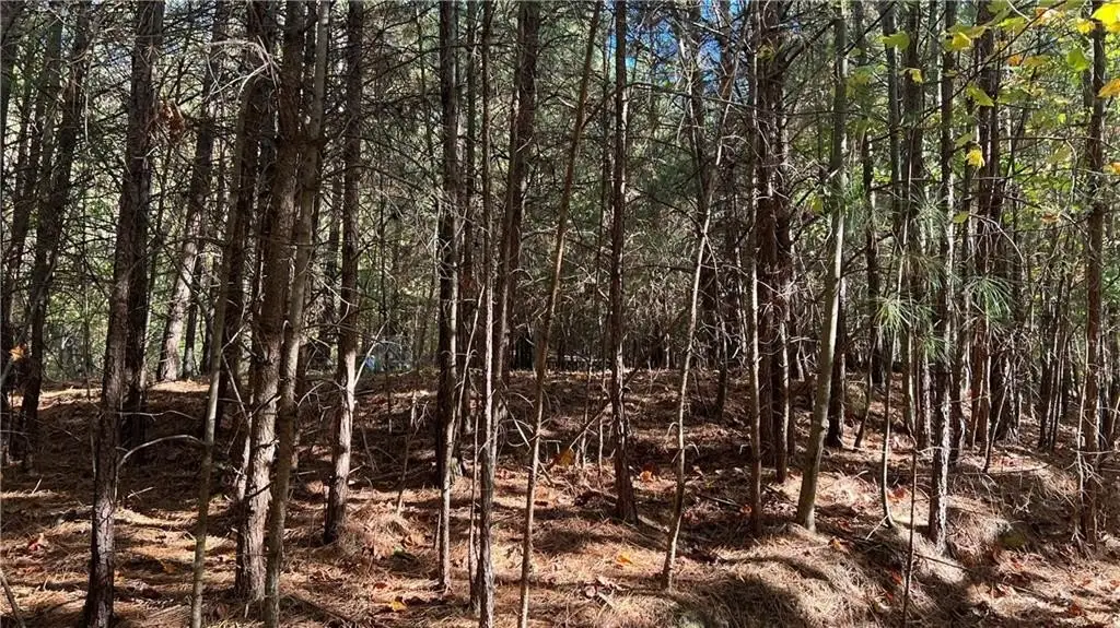 Picture 4