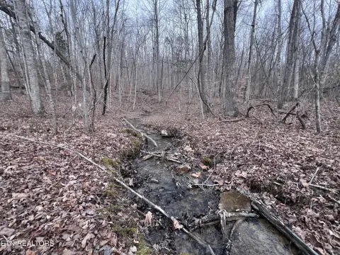 5.16 Acres Wooded Land